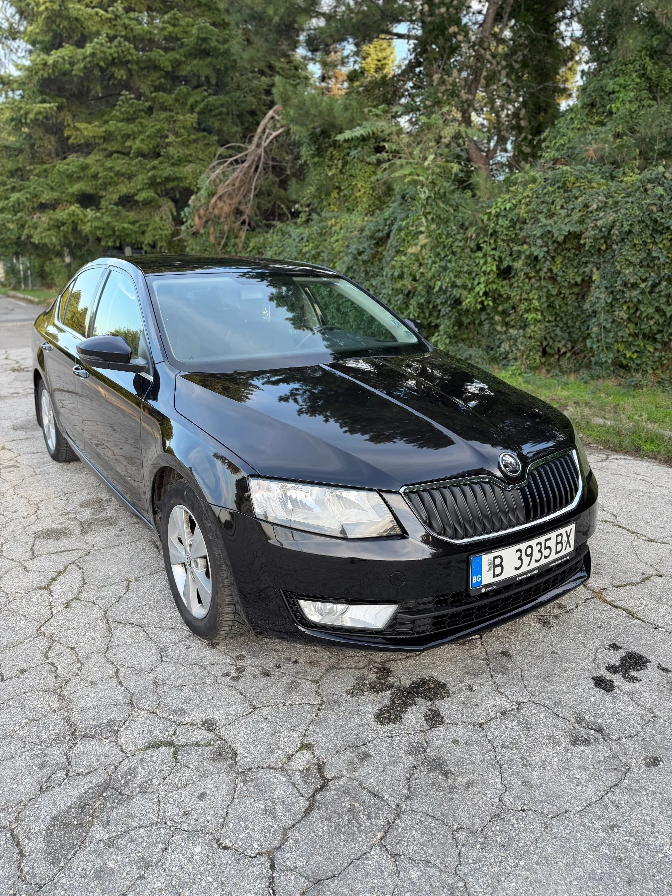 Skoda Octavia 1.6 Diesel / N1 товарен автомобил