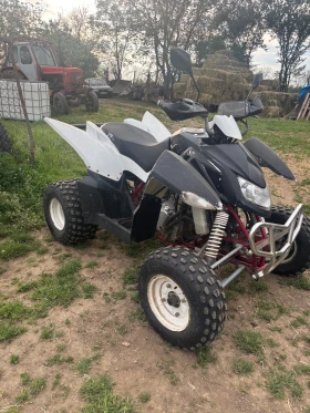 Shineray XY Triton baja 250, снимка 1