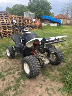 Shineray XY Triton baja 250, снимка 2