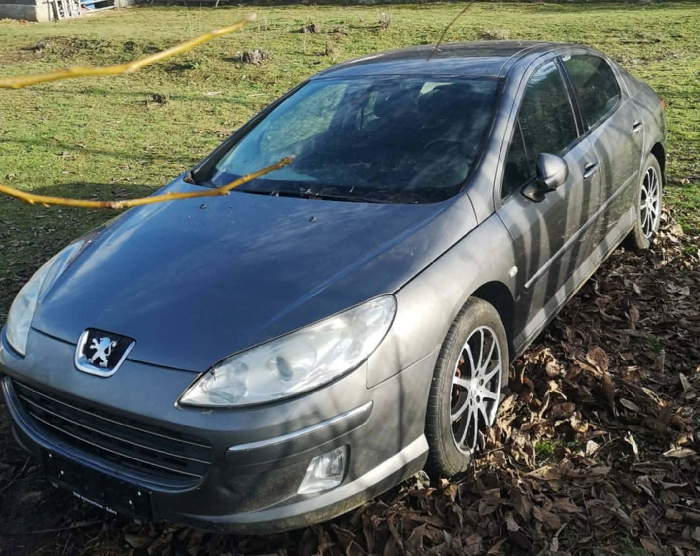 Peugeot 407 1.6 HDI - изображение 2