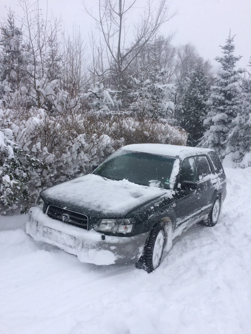 Subaru Forester ГАЗ/Бенз, снимка 1 - Автомобили и джипове - 49554413