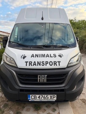 Fiat Ducato MAXI, снимка 1