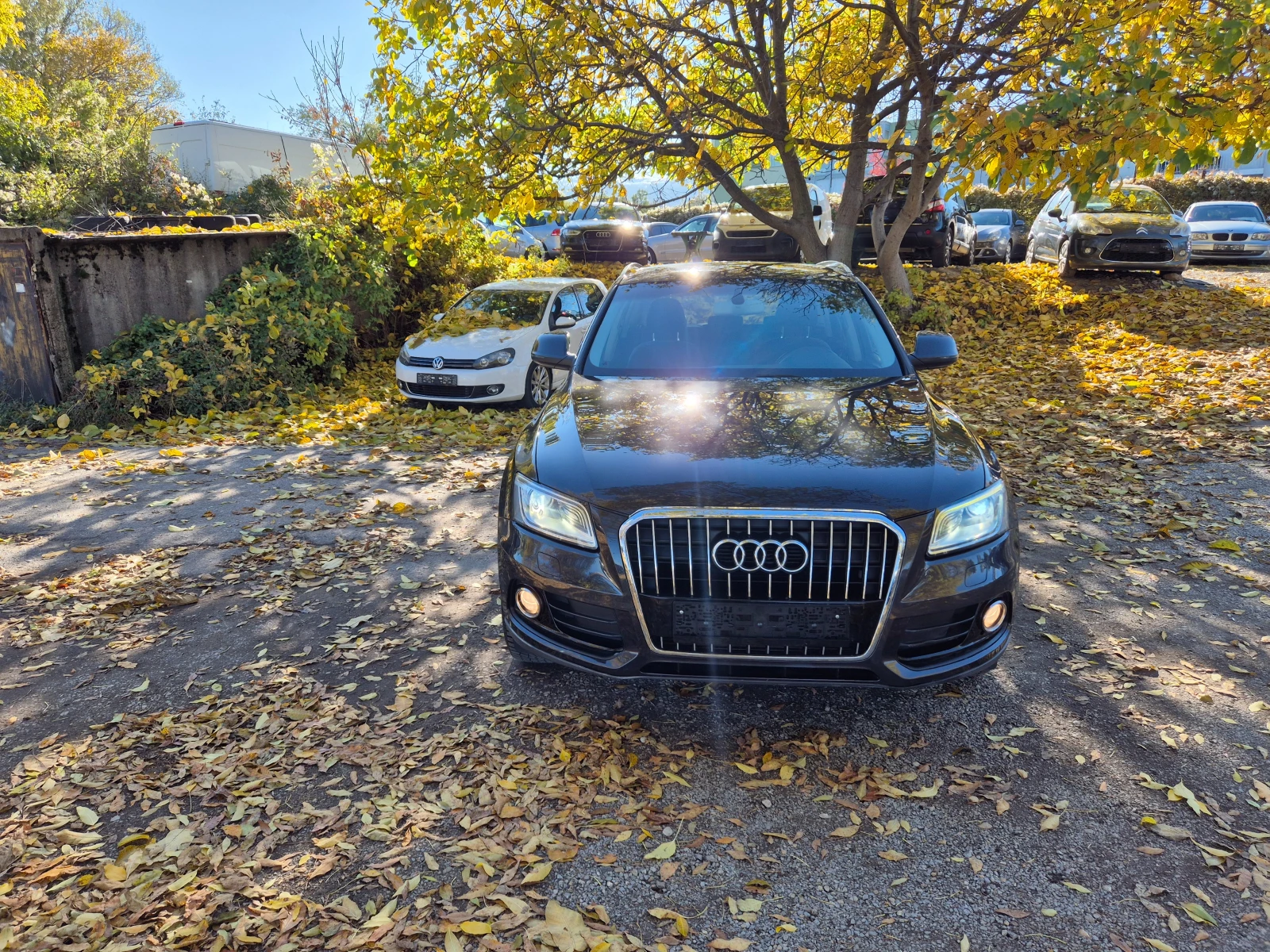 Audi Q5 2.0ТDI  - изображение 2