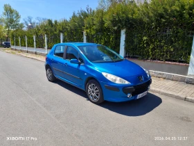 Peugeot 307 1.6HDi, снимка 1