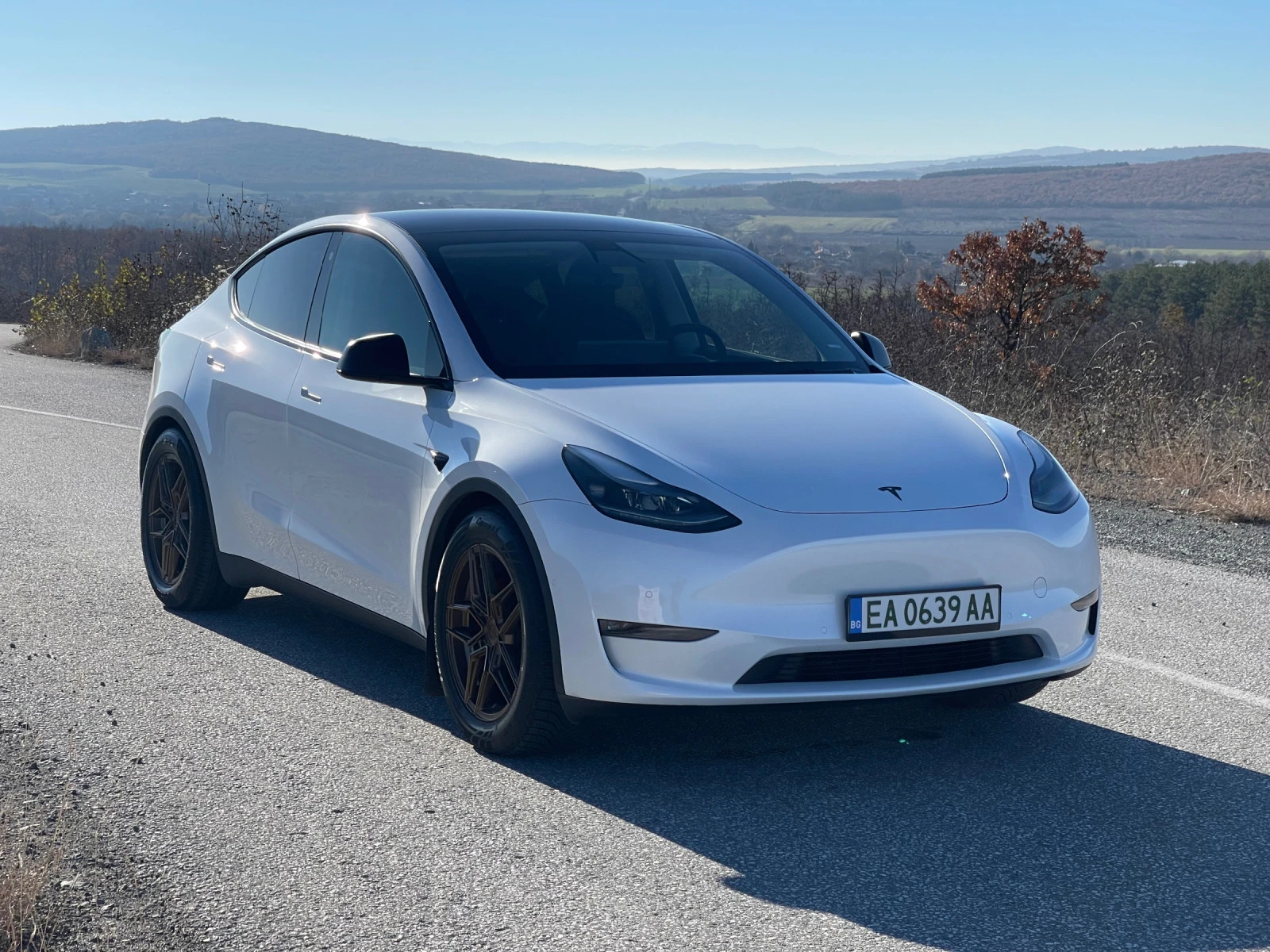 Tesla Model Y Peformance - изображение 7