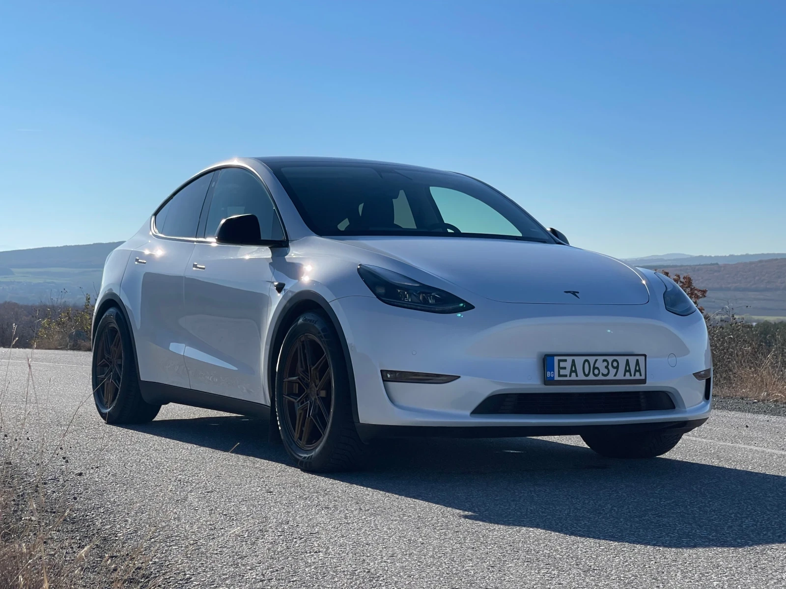 Tesla Model Y Peformance  | Mobile.bg   16