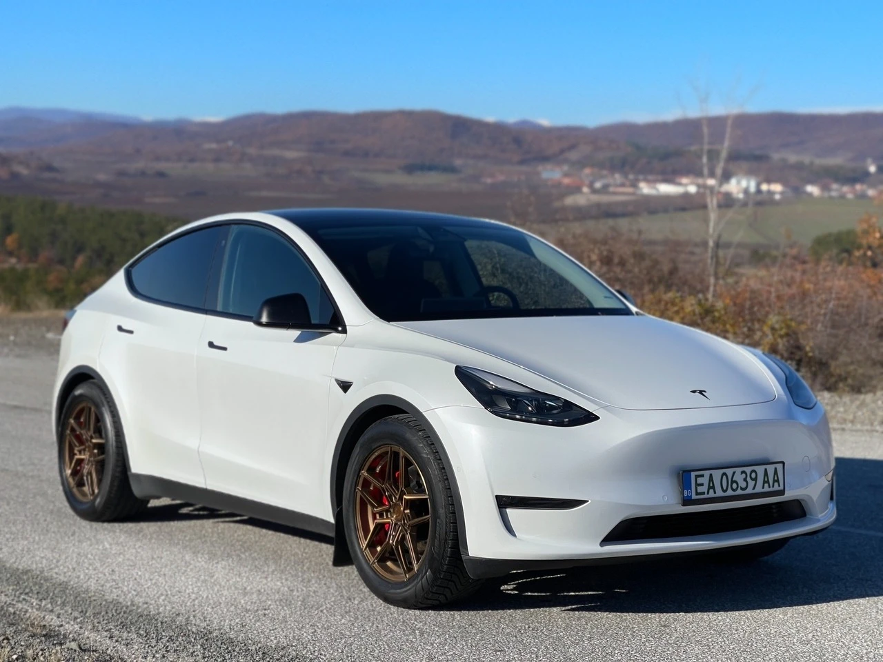 Tesla Model Y Peformance Гаранционна - изображение 2