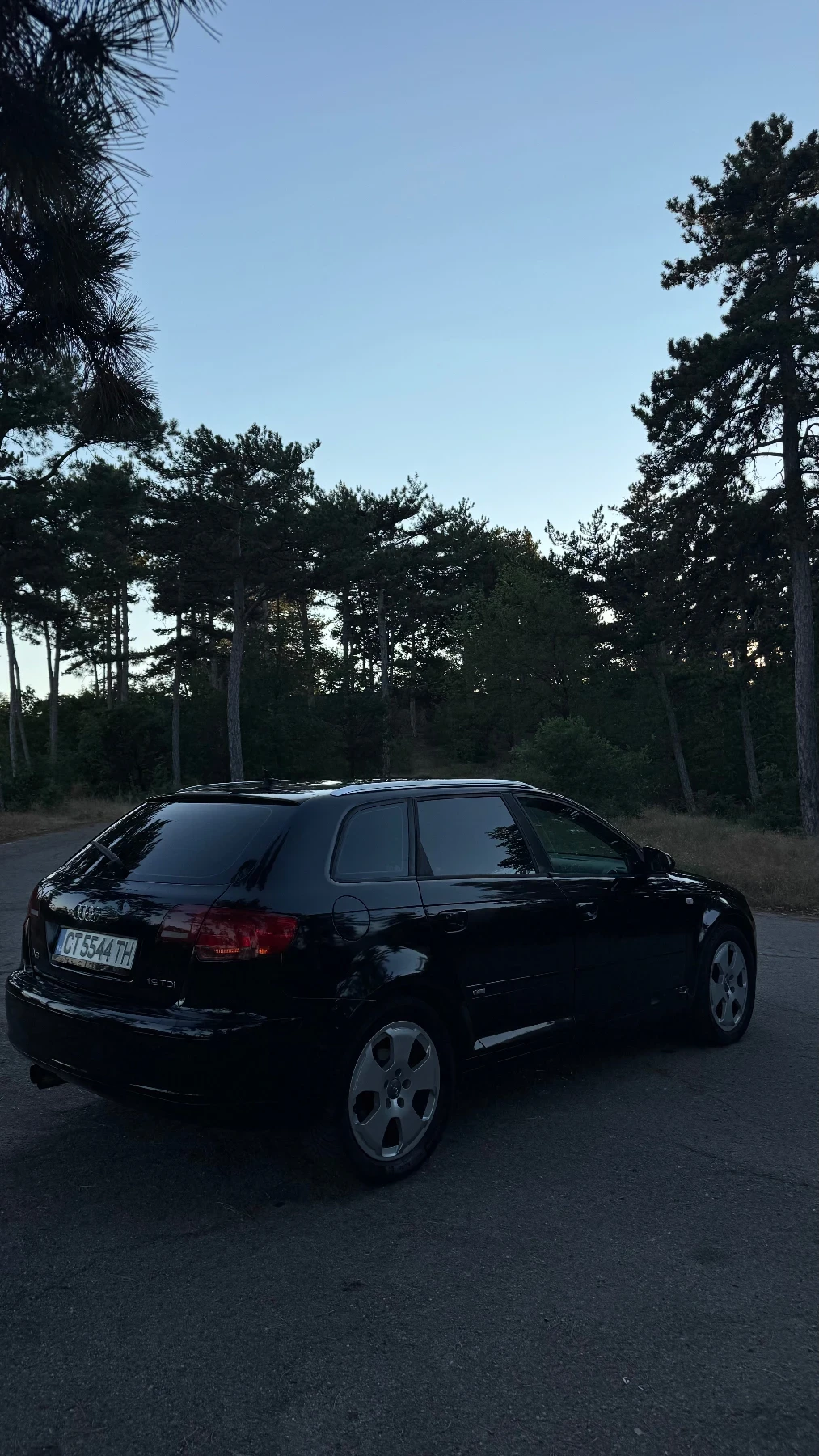 Audi A3, снимка 3 - Автомобили и джипове - 55479993