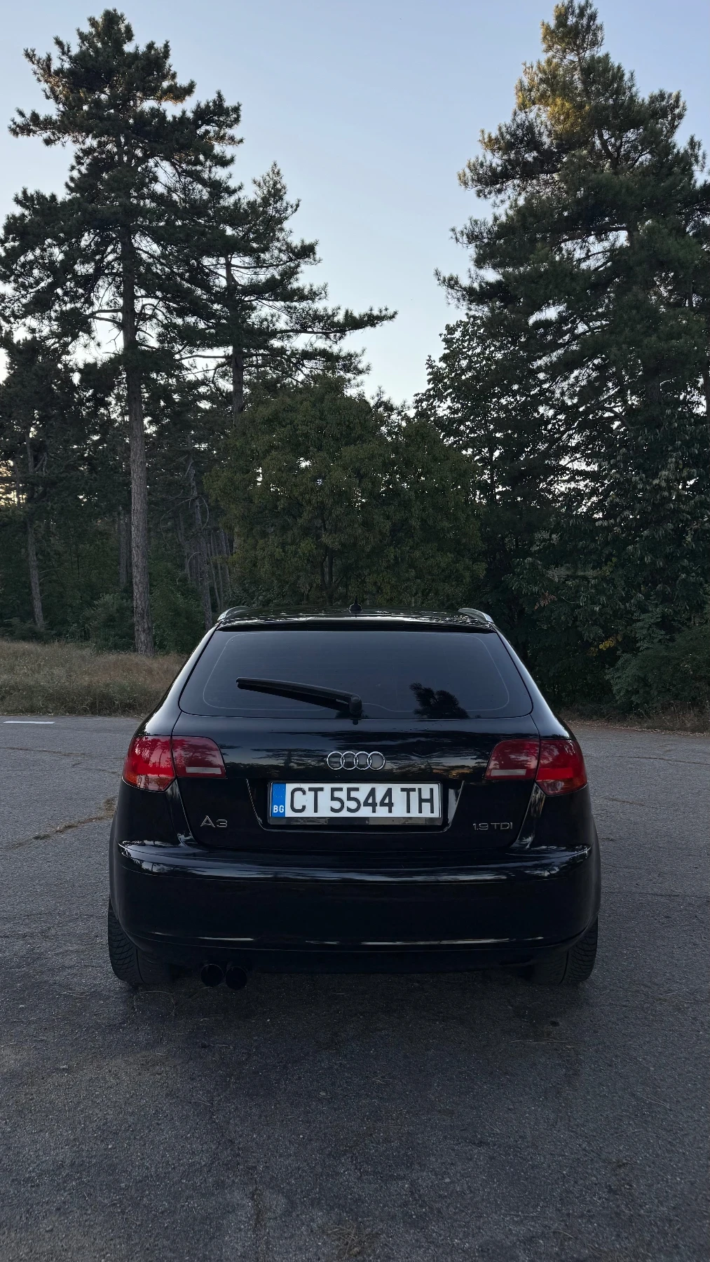 Audi A3, снимка 4 - Автомобили и джипове - 55479993