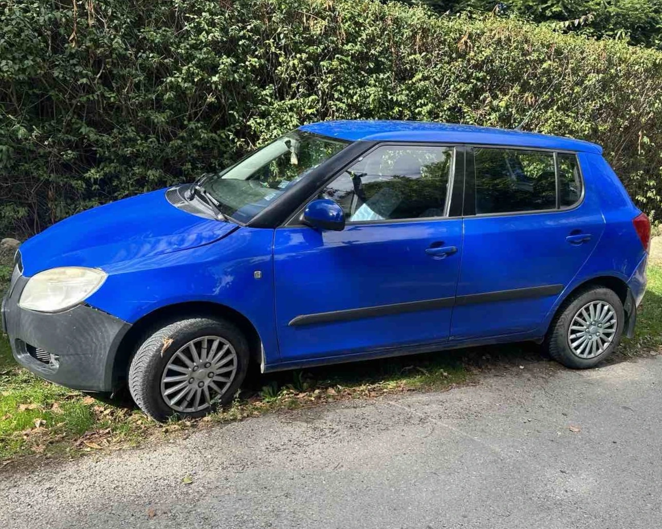 Skoda Fabia, снимка 2 - Автомобили и джипове - 53912006