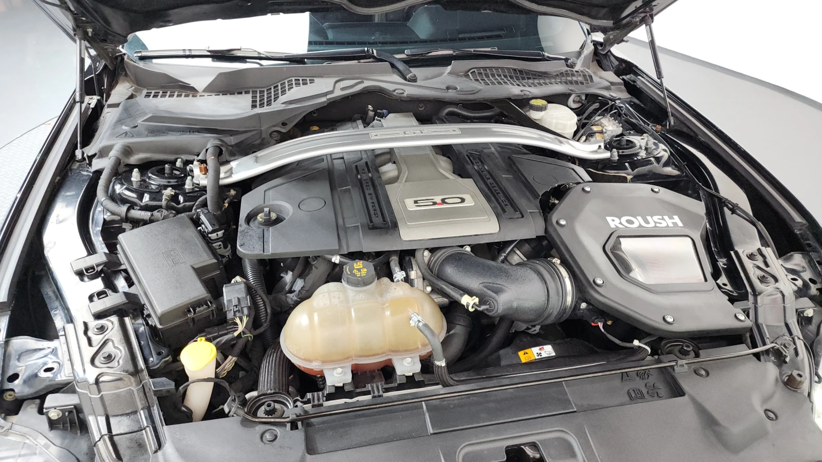 Ford Mustang 5.0L GT500| SHELBY PACK| ROUSH| DIGITAL DASH| DIST, снимка 14 - Автомобили и джипове - 55048754