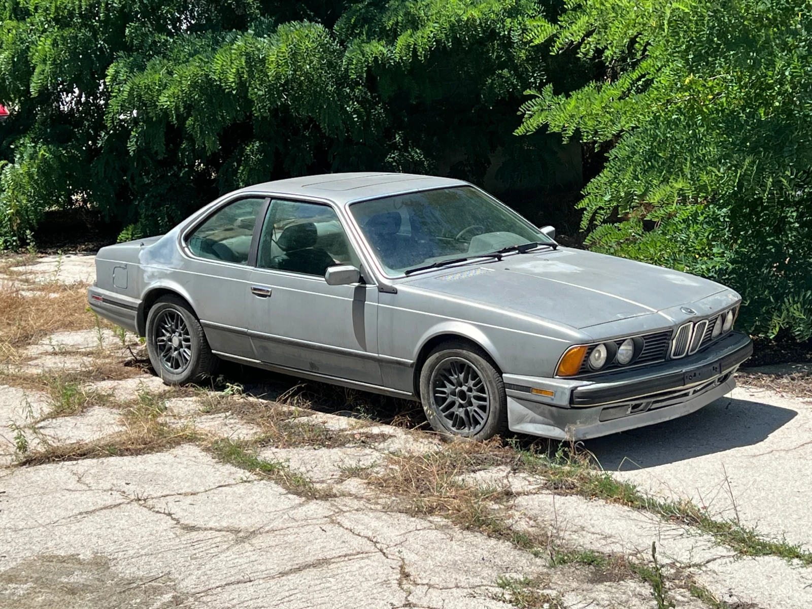 BMW 635 CSi/L6, снимка 10 - Автомобили и джипове - 55350605