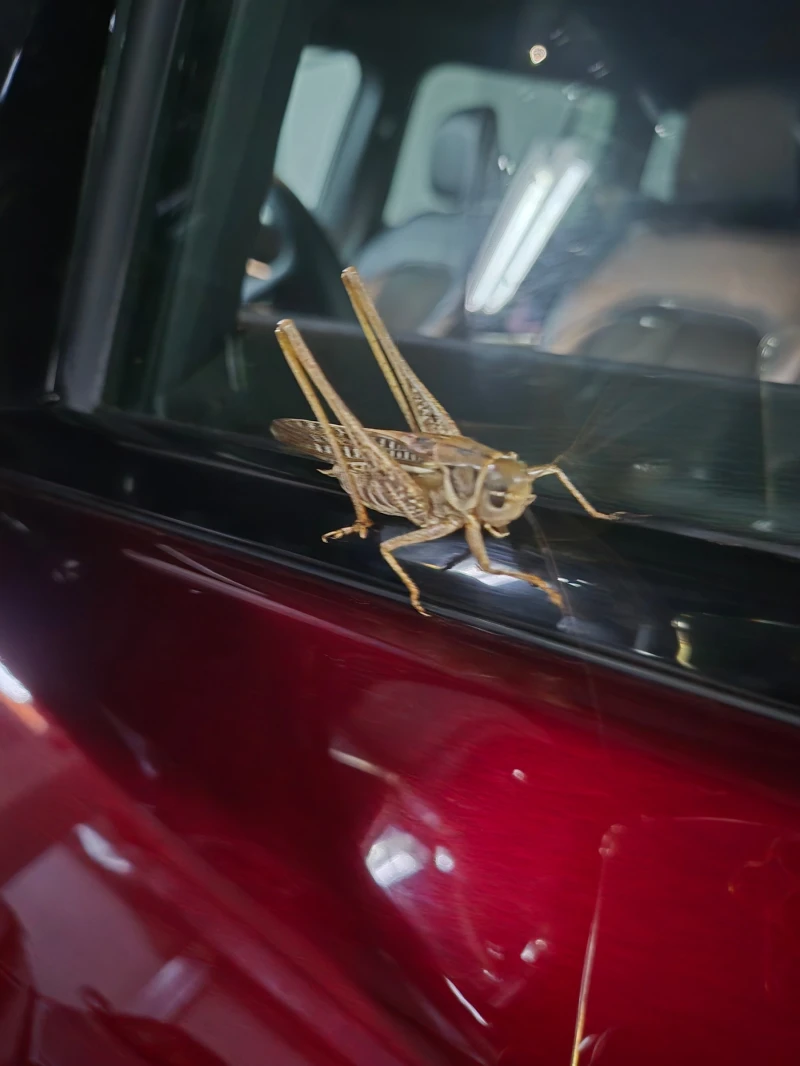 Jeep Grand cherokee Промоция за 79 999 до 18 Ноември!!!, снимка 10 - Автомобили и джипове - 52191900