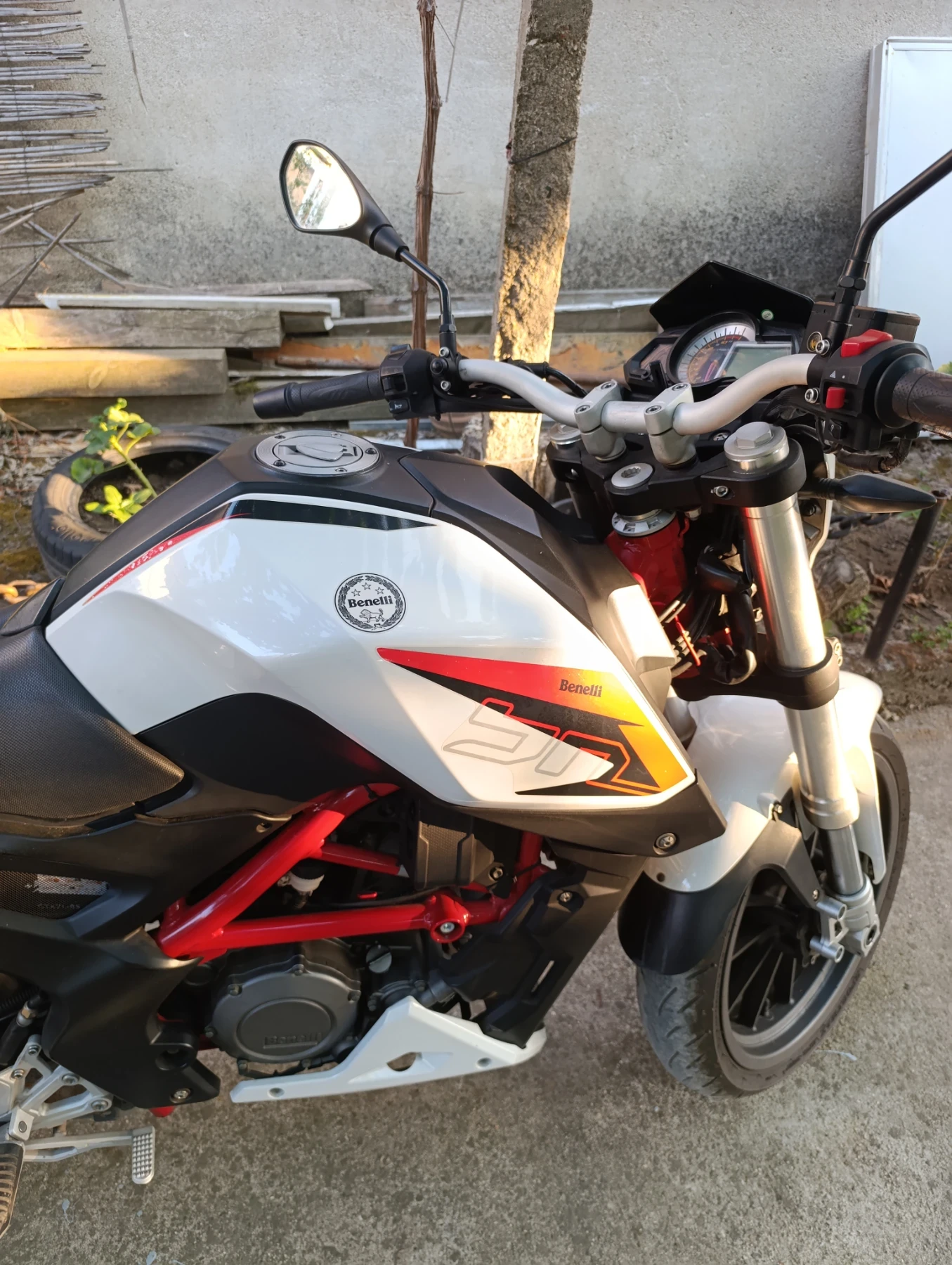 Benelli 250, снимка 3 - Мотоциклети и мототехника - 55452999