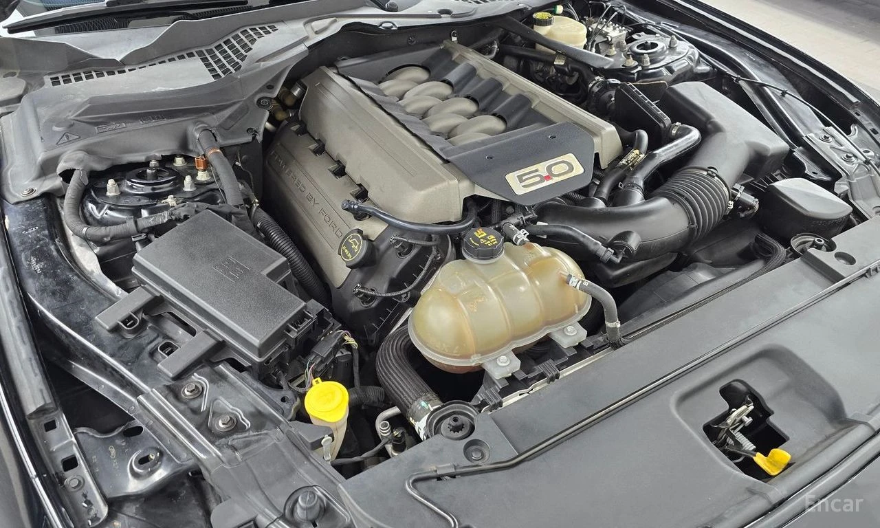 Ford Mustang GT* 5.0* V8* ПОДГРЕВ* ОБДУХВАНЕ* КАМЕРА* КЕЙЛЕС* , снимка 17 - Автомобили и джипове - 55722402