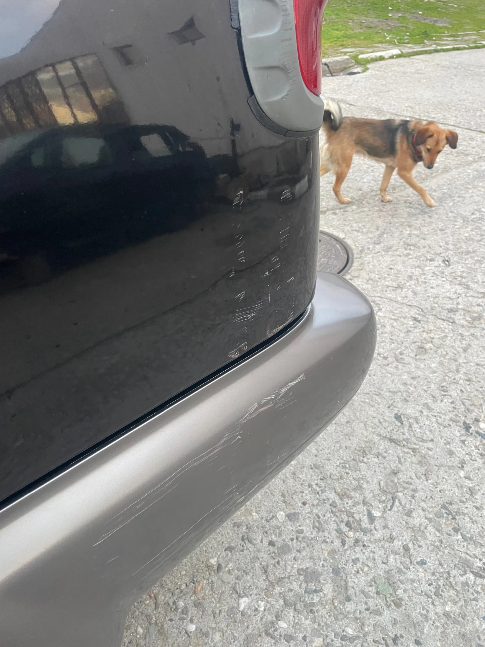 Nissan Terrano 3.0 ��������� | Mobile.bg � ����������� 11