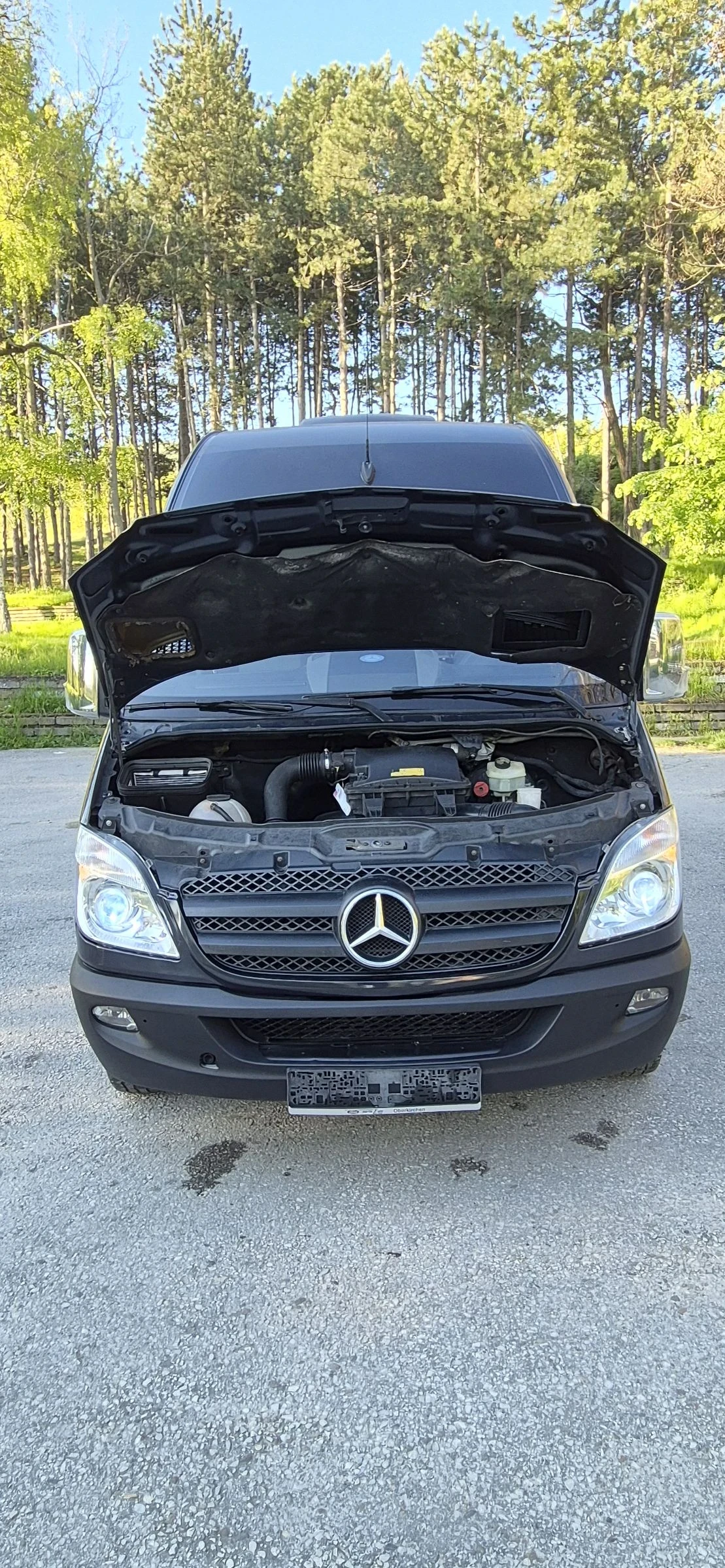Mercedes-Benz Sprinter 313 313 CDI, снимка 16 - Бусове и автобуси - 54415737