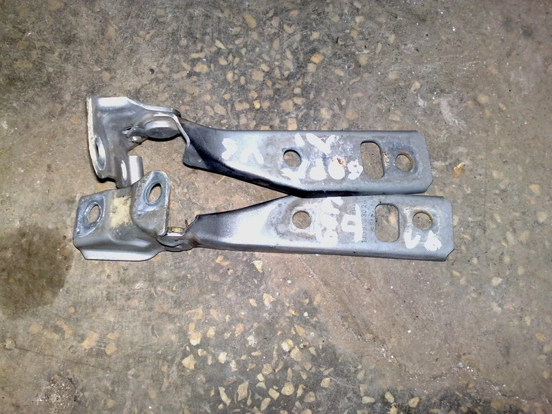 Панти преден капак за Фолксваген Бора (1)