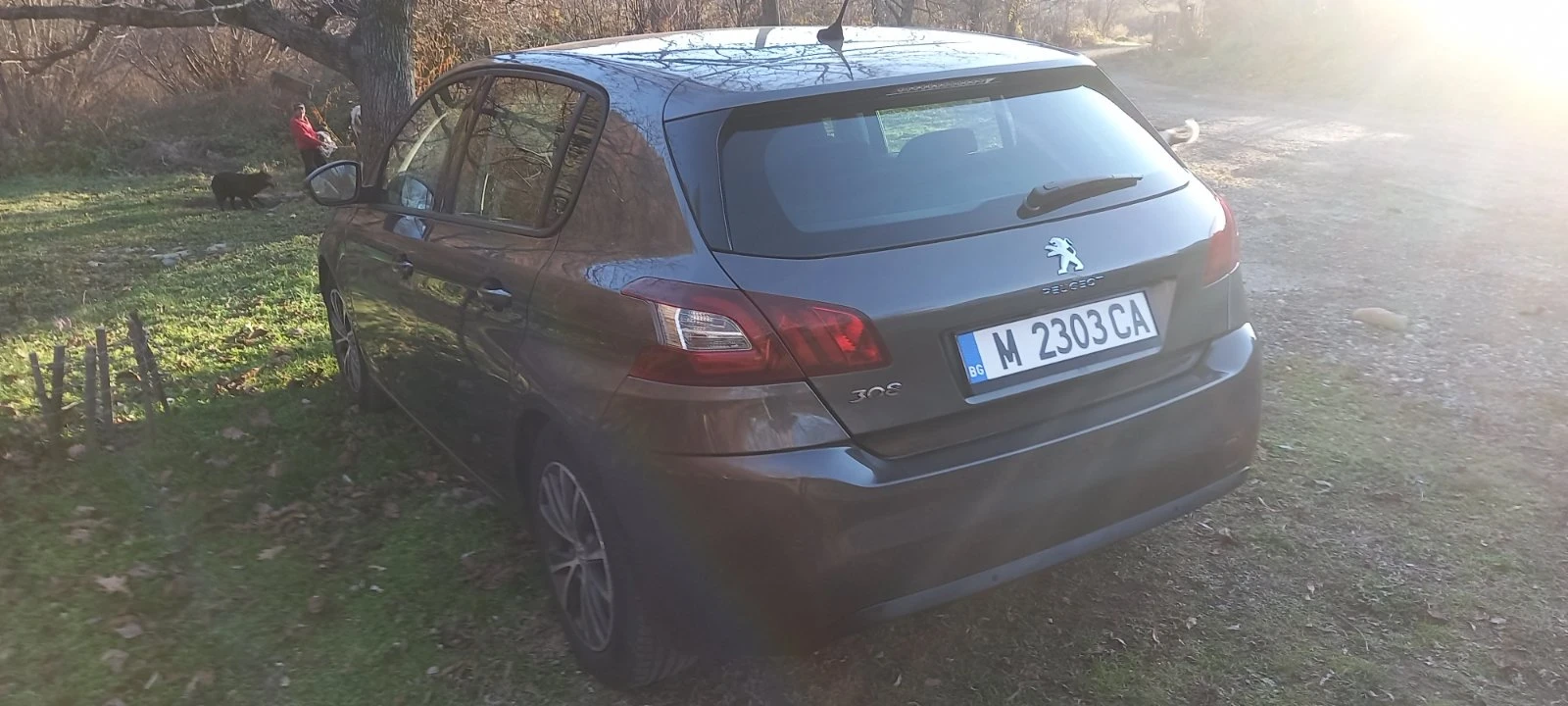 Peugeot 308 1.6HDI - изображение 3