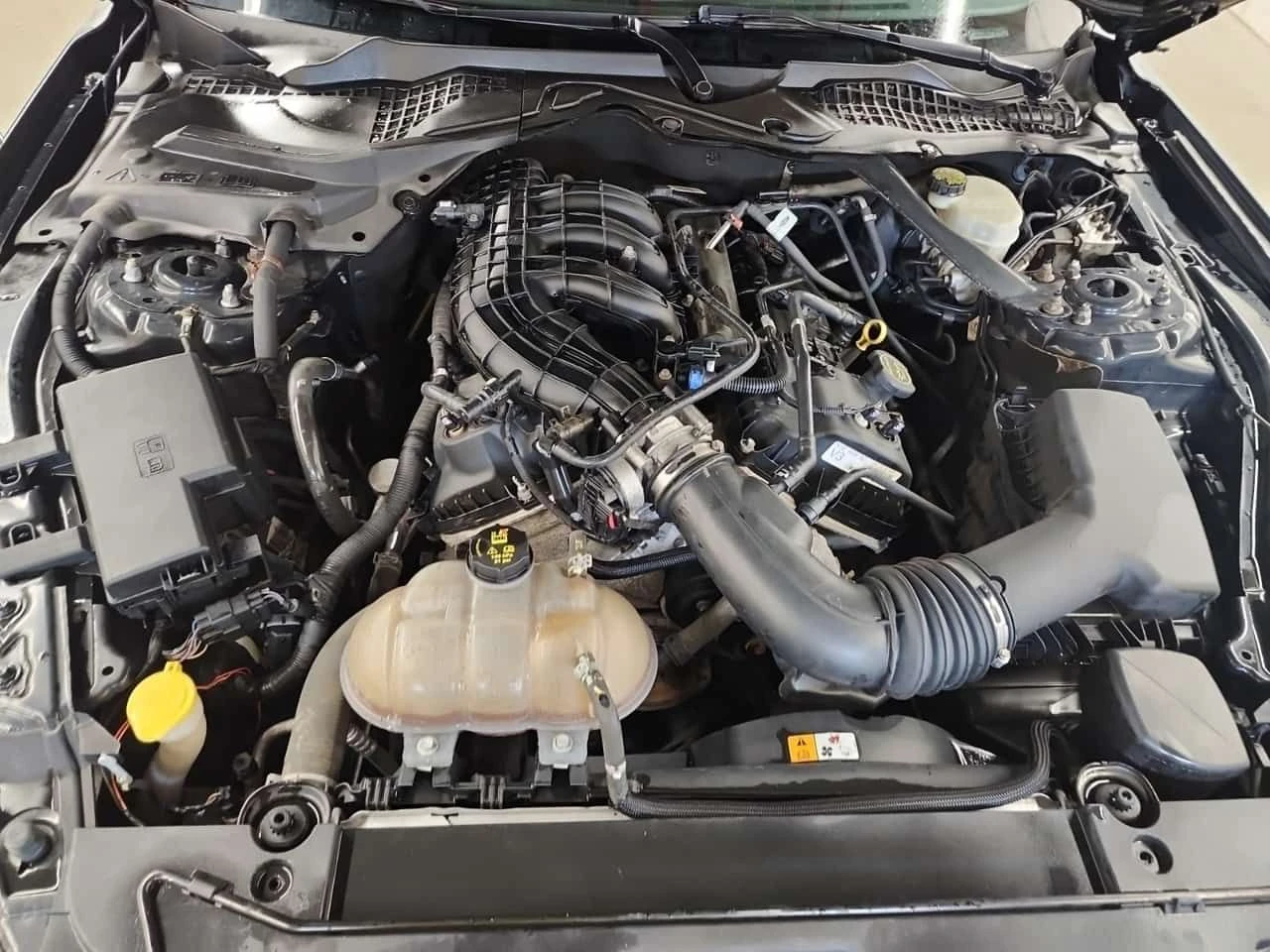 Ford Mustang V6/CARFAX/ФИНАНСИРАНЕ, снимка 15 - Автомобили и джипове - 55432734