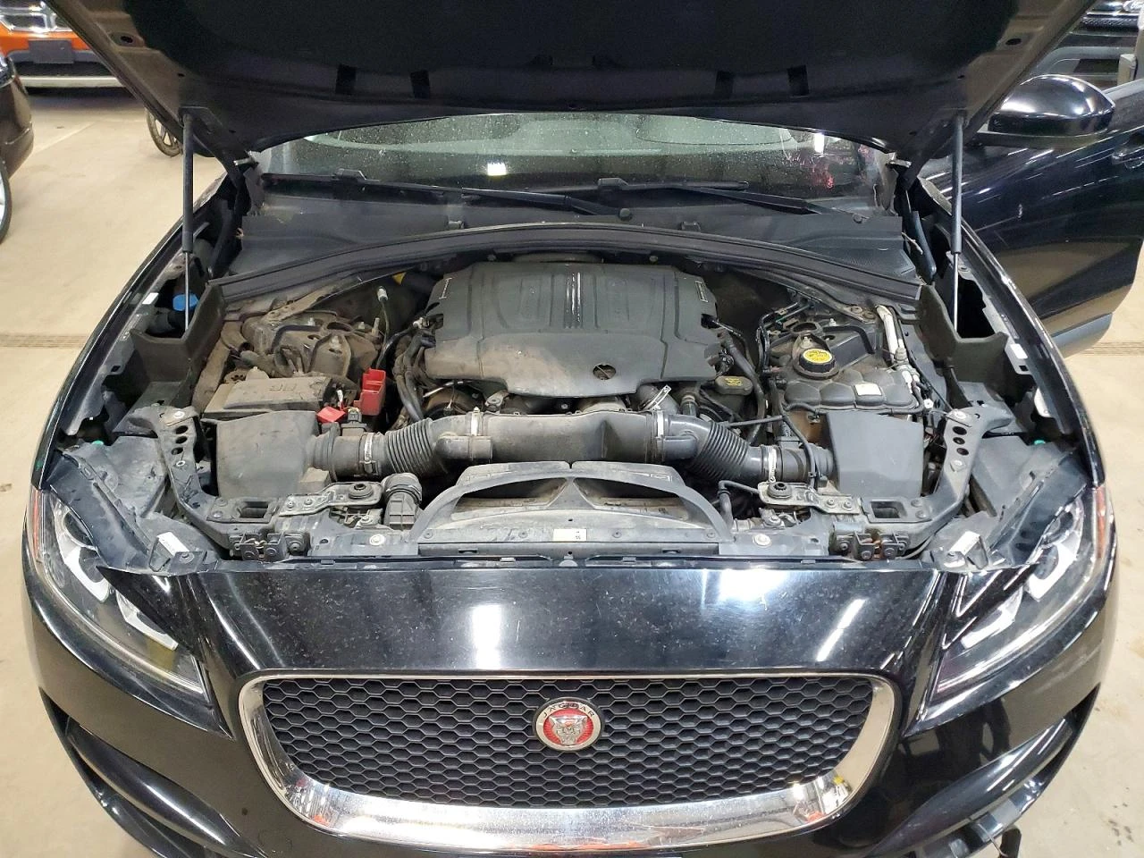 Jaguar F-PACE | Mobile.bg � ����������� 12