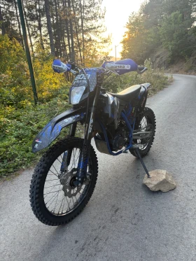 Telstar Enduro 250, снимка 3