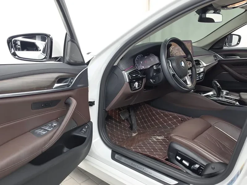 BMW 530 E Luxury, снимка 10 - Автомобили и джипове - 55748152