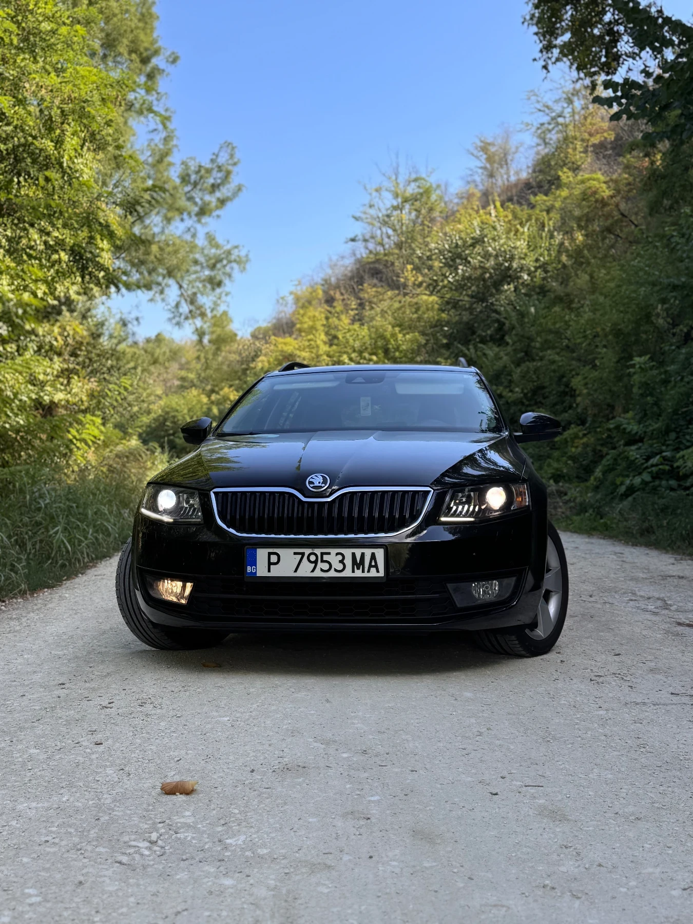 Skoda Octavia 2.0 TDI DSG - изображение 4