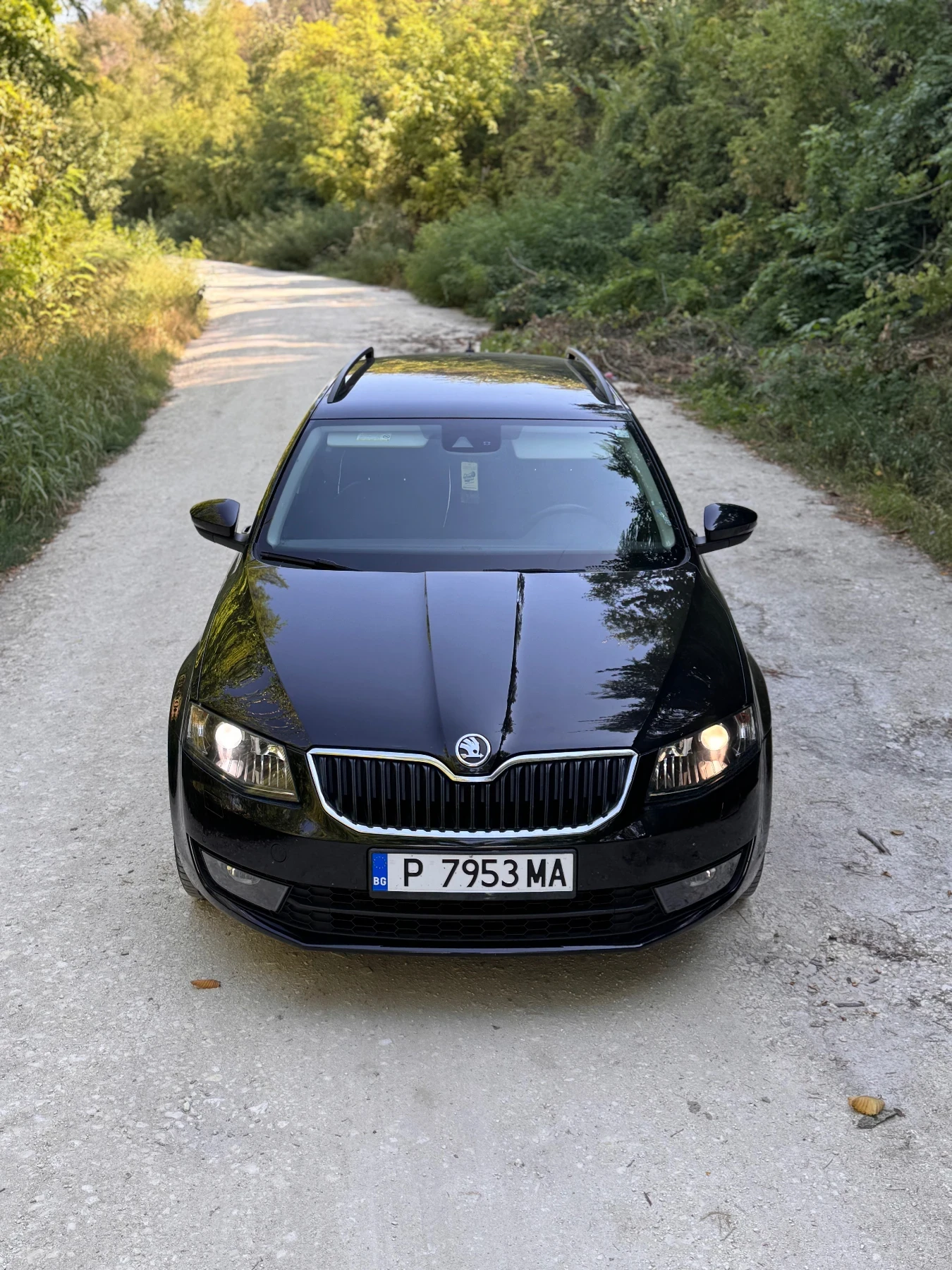 Skoda Octavia 2.0 TDI DSG | Mobile.bg   1