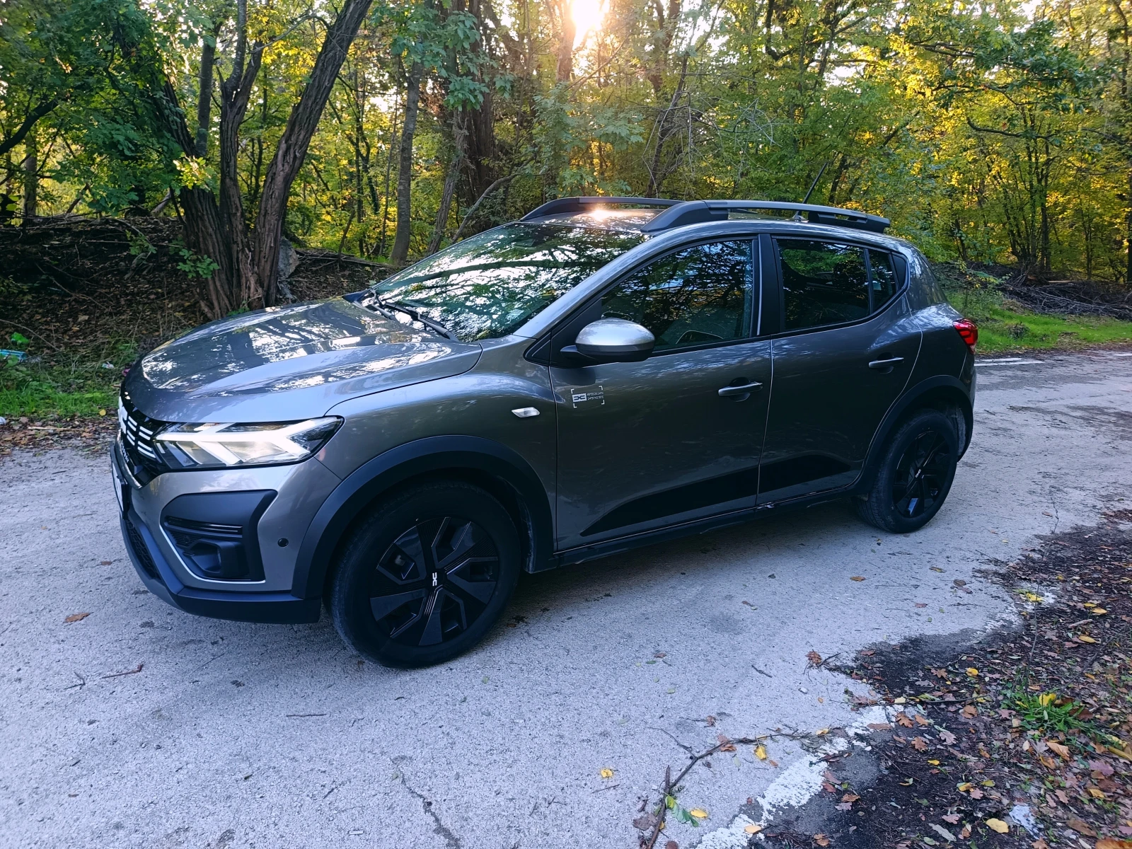 Dacia Sandero Stepway LPG | Mobile.bg   6