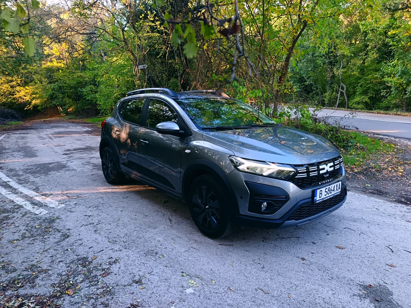 Dacia Sandero Stepway LPG | Mobile.bg   2