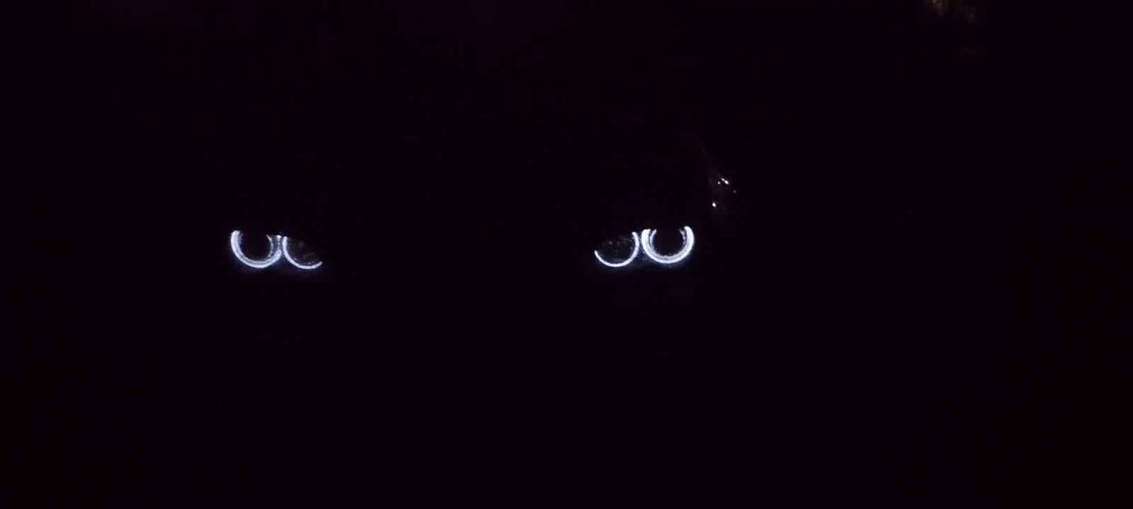 BMW 330  - изображение 5