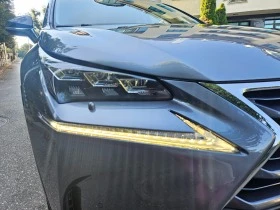 Lexus NX 300h  70х.км., снимка 8