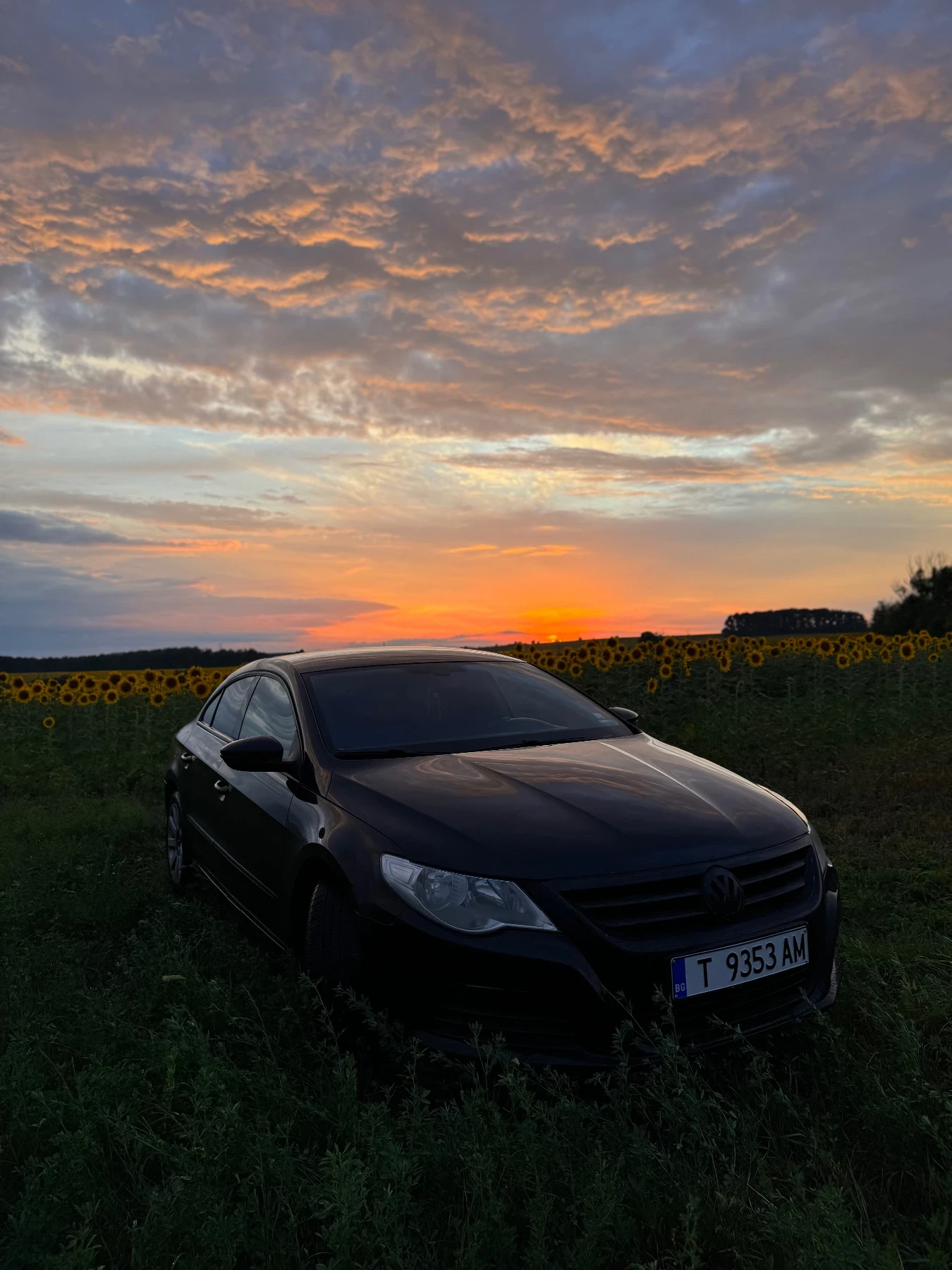 VW Passat