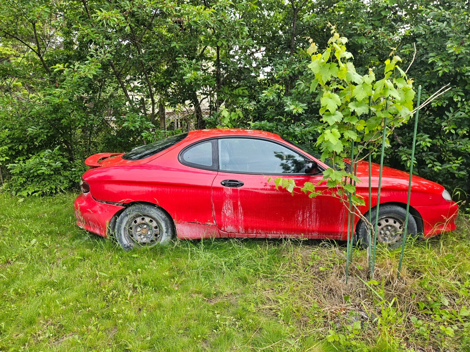 Hyundai Coupe, снимка 2 - Автомобили и джипове - 54809198