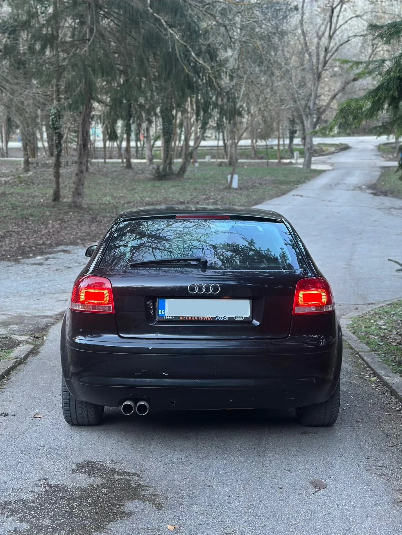 Audi A3 TDI 1.9 105 к.с. - ръчка / Всичко платено! - изображение 4