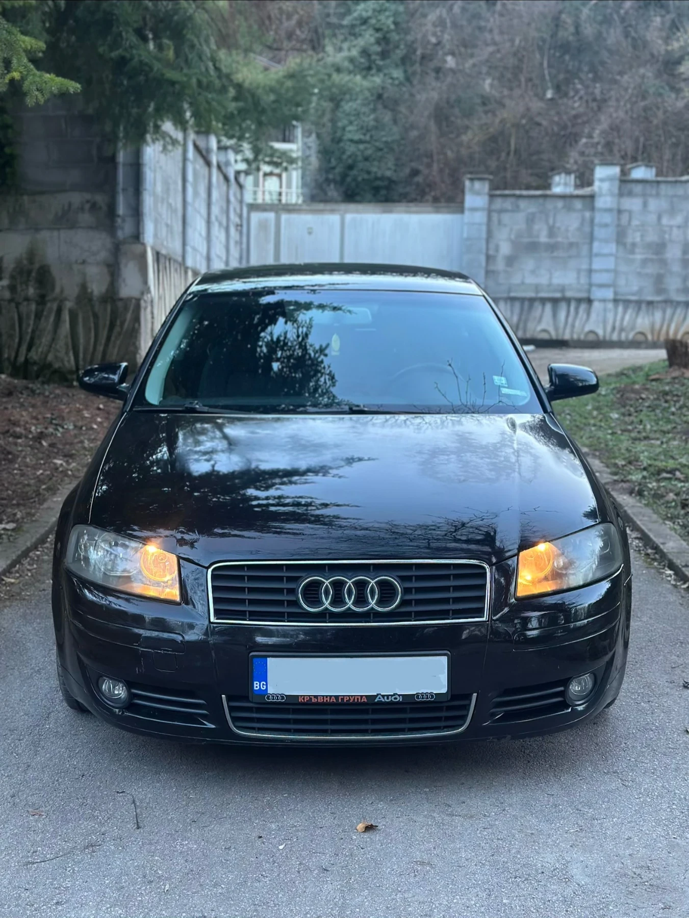 Audi A3 TDI 1.9 105 к.с. - ръчка / Всичко платено! - изображение 2