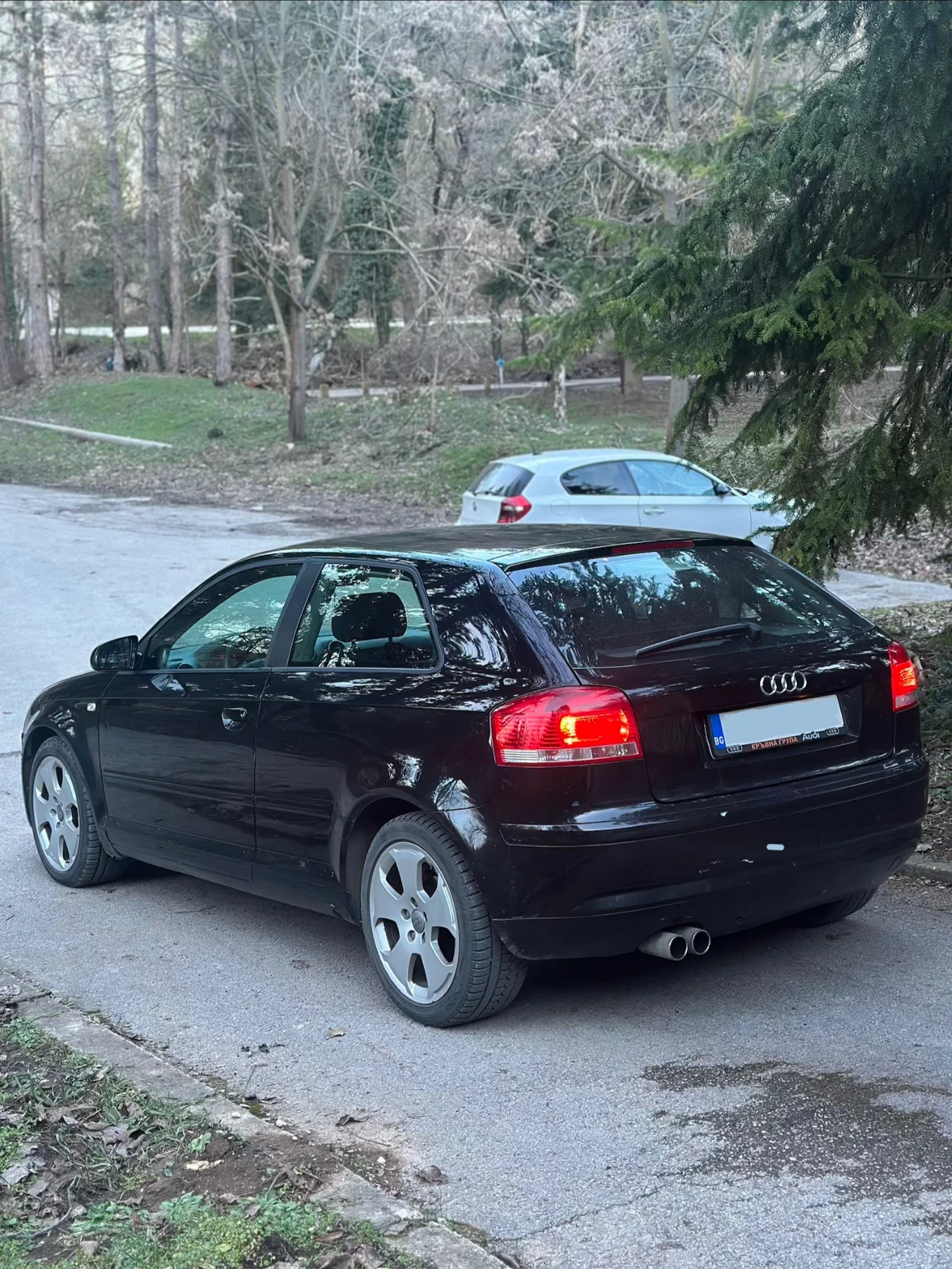 Audi A3 TDI 1.9 105 к.с. - ръчка / Всичко платено! - изображение 5