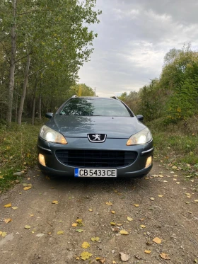 Peugeot 407 407 SW TOP, снимка 1