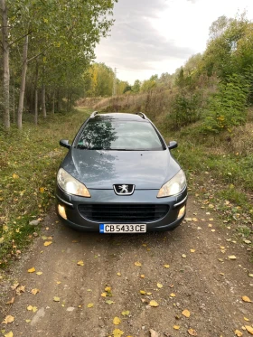 Peugeot 407 407 SW TOP, снимка 2