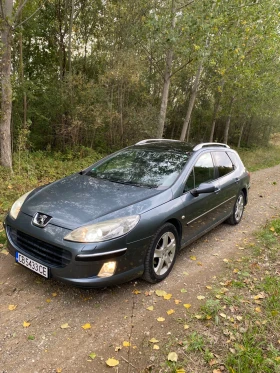 Peugeot 407 407 SW TOP, снимка 3