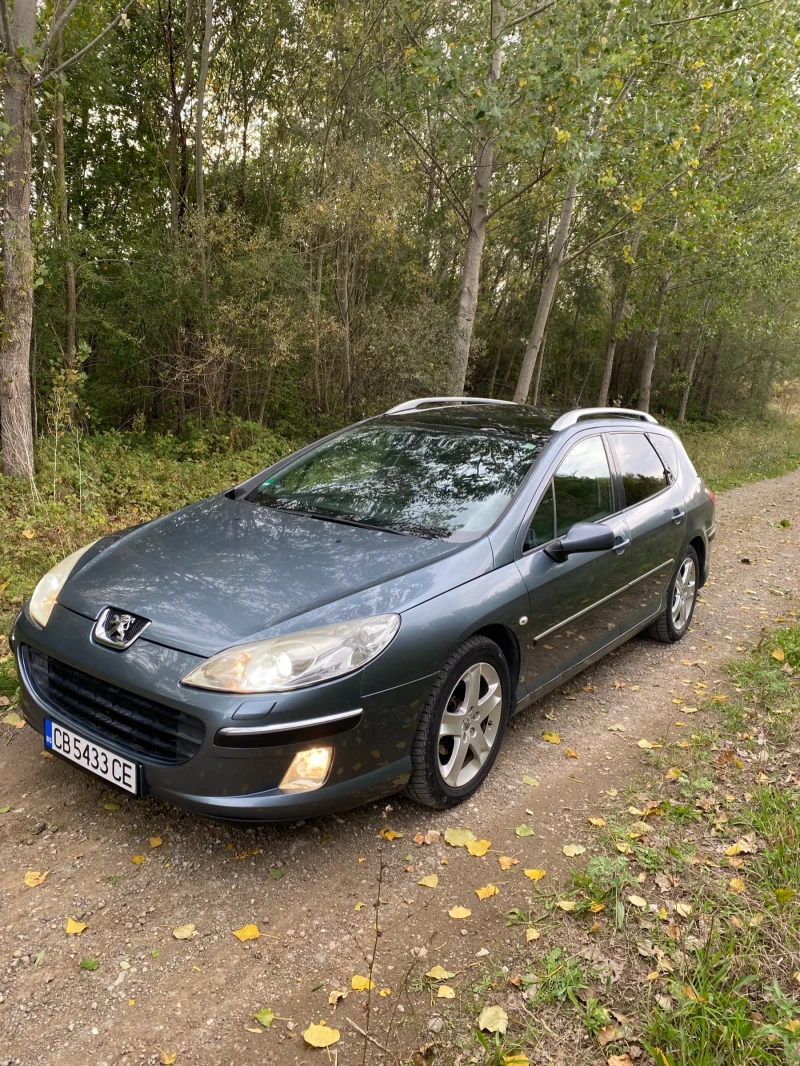 Peugeot 407 407 SW TOP, снимка 3 - Автомобили и джипове - 47462087