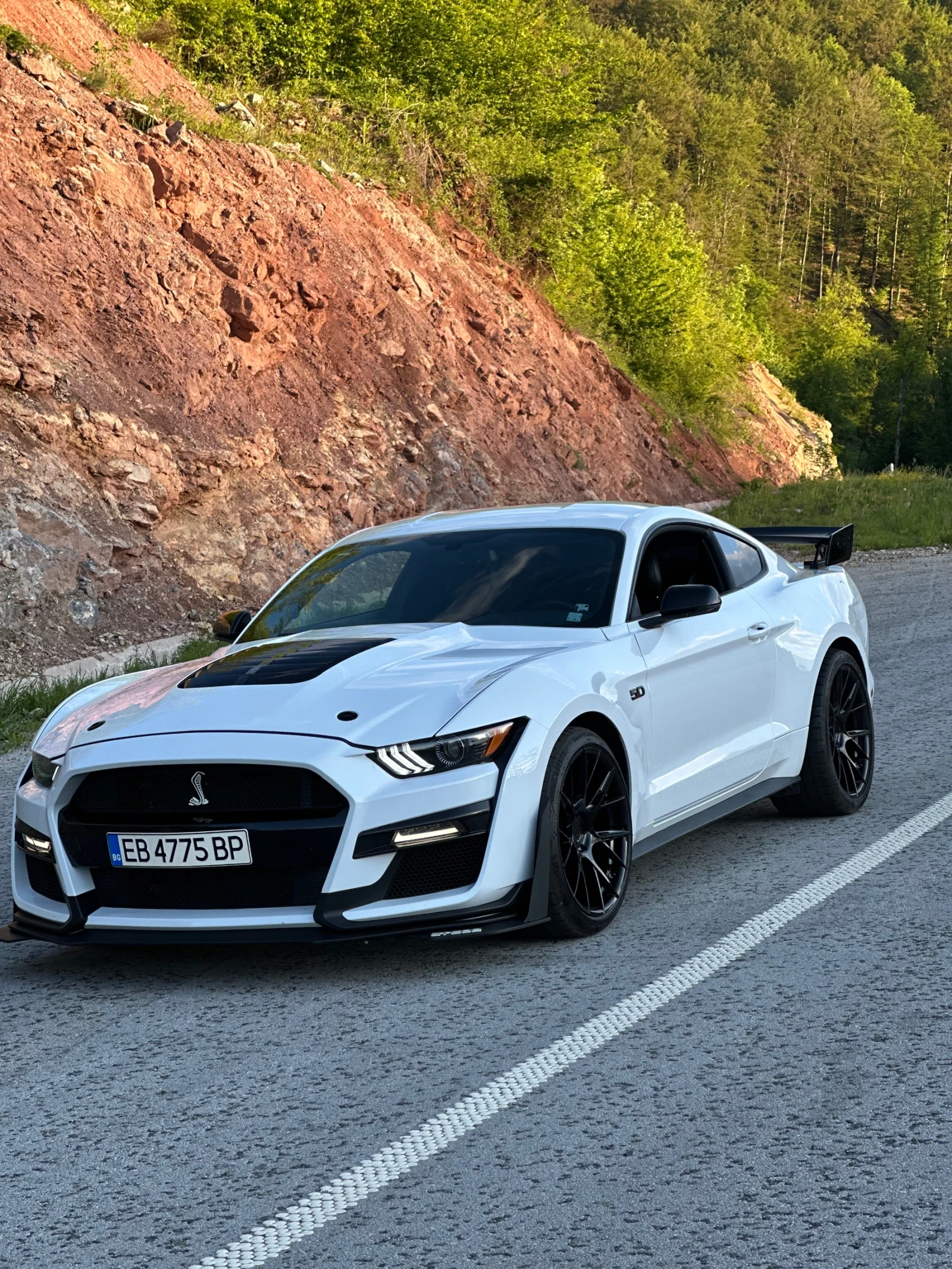Ford Mustang GT - изображение 4