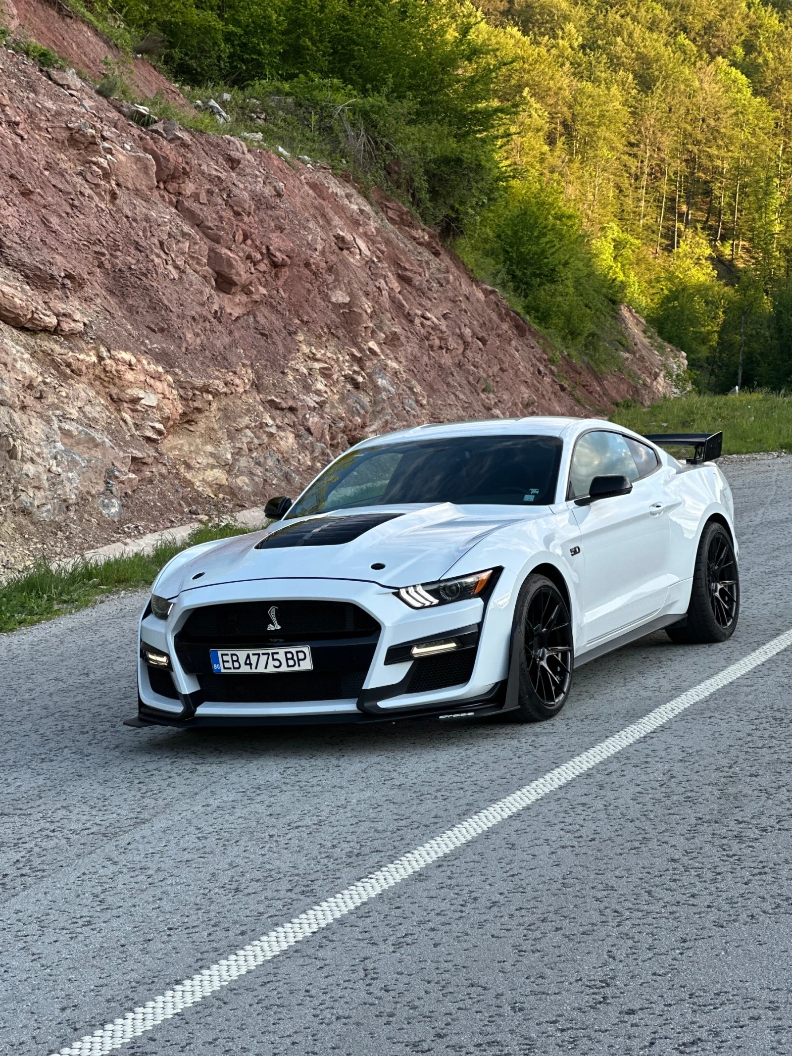 Ford Mustang GT - изображение 2