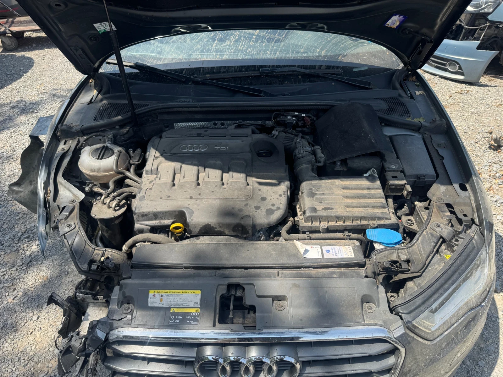 Audi A3 Audi A3 8V 1.6 CXX - изображение 6