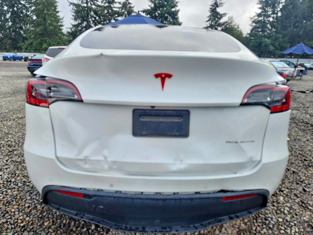 Tesla Model Y * LONG* RANGE* AWD* , снимка 5 - Автомобили и джипове - 56737104