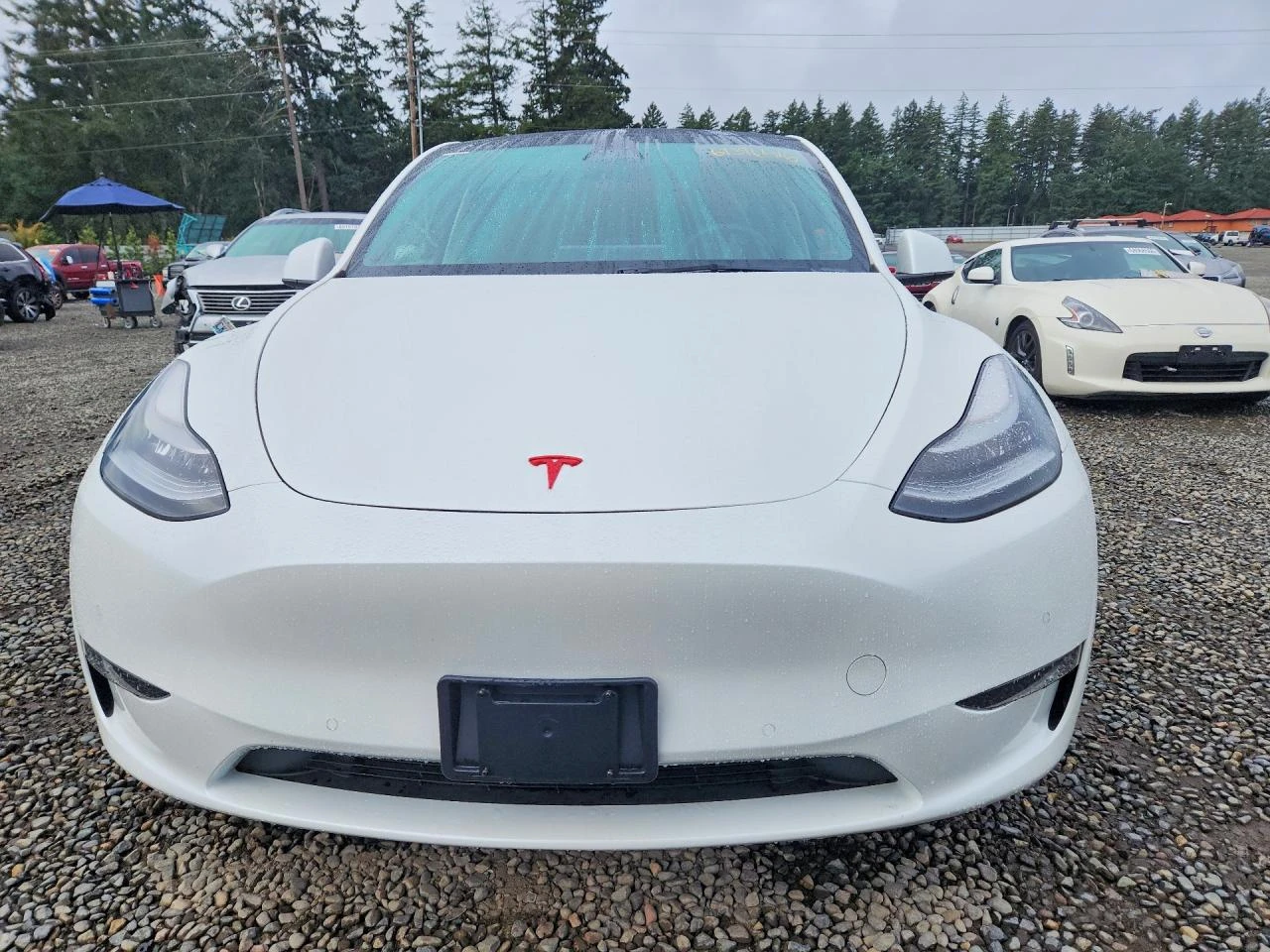 Tesla Model Y * LONG* RANGE* AWD* , снимка 2 - Автомобили и джипове - 56737104