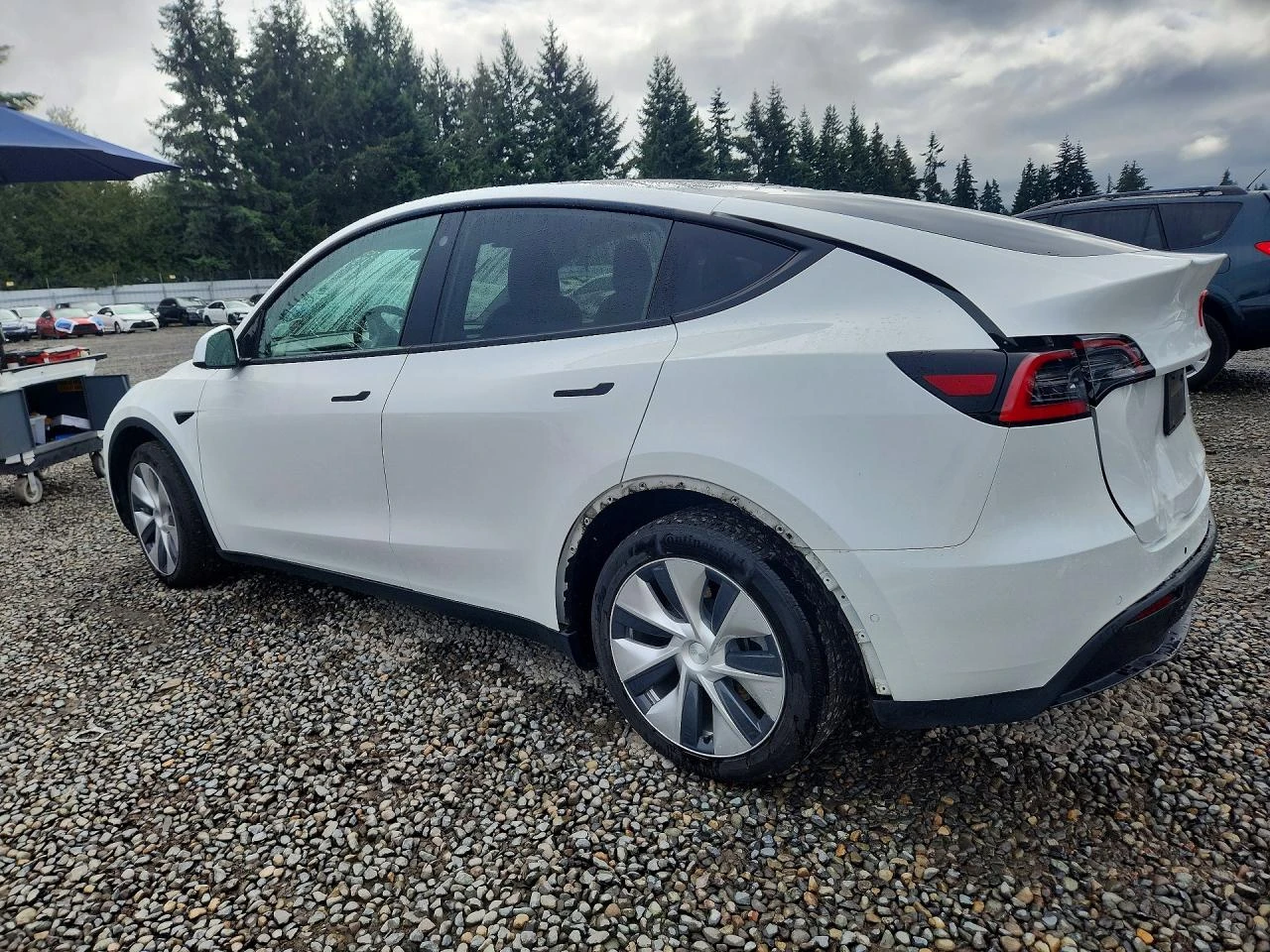 Tesla Model Y * LONG* RANGE* AWD* , снимка 6 - Автомобили и джипове - 56737104
