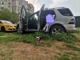 Mercedes-Benz ML 270 2001 година 163к.с., снимка 6