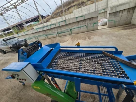 Специализирани машини Машини за зеленчуци, снимка 7 — Bazar.bg Специализирани машини Машини за зеленчуци, снимка 7